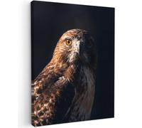 OnlyWow© Poster De Jardin 60x80 cm Deco Exterieur Decoration Balcon Décoration Affiche Murale Extérieur Terrasse Déco Appartement Extérieure Oiseau Proie - Buse - Brune