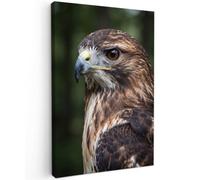 OnlyWow© Poster De Jardin 80x120 cm Deco Exterieur Decoration Balcon Décoration Affiche Murale Extérieur Terrasse Déco Appartement Extérieure Buse - Rapace - Marron