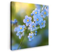 OnlyWow© Poster De Jardin 80x80 cm Original Mur Tableau Decoration Murale Balcon Peinture Tableaux Terrasse Impression Art Mural Deco Décoratif Muraux Fleurs - Bleu - Ne m'oubliez Pas