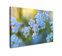 OnlyWow© Poster De Jardin 90x60 cm Original Mur Tableau Decoration Murale Balcon Peinture Tableaux Terrasse Impression Art Mural Deco Décoratif Muraux Fleurs - Bleu - Ne m'oubliez Pas