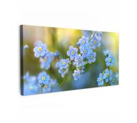 OnlyWow© Poster De Jardin Original Mur Tableau Decoration Murale Balcon | 200x100 cm - Peinture Tableaux Terrasse Impression Art Mural Deco Décoratif Muraux Fleurs - Bleu - Ne m'oubliez pas