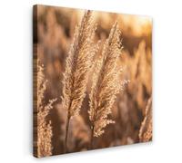OnlyWow© Tableau De Jardin 100x100 cm Original Mur Decoration Balcon Murale Peinture Tableaux Terrasse Impression Art Mural Deco Décoratif Muraux Plumes Roseau - Herbe - Coucher Soleil - Or