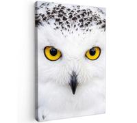OnlyWow© Tableau De Jardin 100x150 cm Original Mur Decoration Balcon Murale Peinture Tableaux Terrasse Impression Art Mural Deco Décoratif Muraux Harfang des neiges - Portrait - Jaune