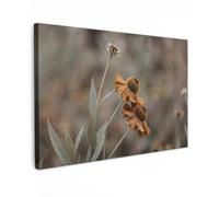 OnlyWow© Tableau De Jardin 150x100 cm Impressions Toiles Reproductions Décoration Moderne sur Mural Decoratifs Photo Chapeau Soleil - Fleurs sèches - Jaune - Chaud