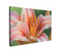 OnlyWow© Tableau De Jardin 150x100 cm Impressions Toiles Reproductions Décoration Moderne sur Mural Decoratifs Photo Lily - Gros Plan - Rose pâle