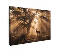 OnlyWow© Tableau De Jardin 150x100 cm Impressions Toiles Reproductions Décoration Moderne sur Mural Decoratifs Photo Cerf - Forêt - Brumeux - Or