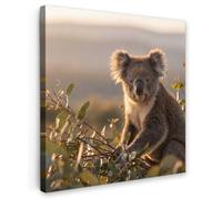 OnlyWow© Tableau De Jardin 50x50 cm Original Mur Decoration Balcon Murale Peinture Tableaux Terrasse Impression Art Mural Deco Décoratif Muraux Koala - Feuilles - Lumière du Matin