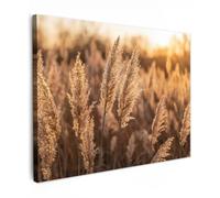 OnlyWow© Tableau De Jardin 70x50 cm Original Mur Decoration Balcon Murale Peinture Tableaux Terrasse Impression Art Mural Deco Décoratif Muraux Plumes Roseau - Herbe - Coucher Soleil - Or