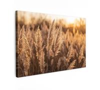 OnlyWow© Tableau De Jardin 90x60 cm Original Mur Decoration Balcon Murale Peinture Tableaux Terrasse Impression Art Mural Deco Décoratif Muraux Plumes Roseau - Herbe - Coucher Soleil - Or