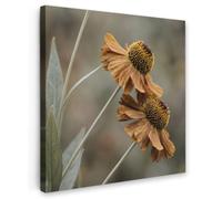 OnlyWow© Tableau De Jardin 90x90 cm Impressions Toiles Reproductions Décoration Moderne sur Mural Decoratifs Photo Chapeau Soleil - Fleurs sèches - Jaune - Chaud