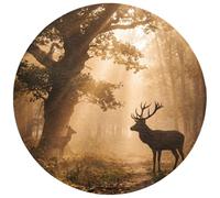 OnlyWow© Tapis Bain Rond 70x70 cm Non Slip Bath Mat Douche Absorbant Decoration Antidérapant Lavable Accessoire Baignoire Innovant Cerf - Forêt - Brumeux - Nature - Or