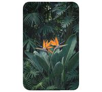OnlyWow© Tapis De Bain 50x80 cm Douche Decoration Absorbant Antidérapant Lavable Non Slip Bath Mat WC Accessoire Baignoire Oiseau Paradis - Fleur - Exotique