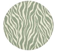 OnlyWow© Tapis De Bain 70x70 cm Douche Decoration Absorbant Antidérapant Lavable Non Slip Bath Mat Accessoire Baignoire Zèbre - Motif - Vert