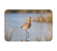 OnlyWow© Tapis De Douche Rectangulaire 90x60 cm Bain Decoration Absorbant Antidérapant Lavable Non Slip Bath Mat Accessoire Baignoire Oiseau - Échasse - Eau - Nature