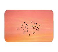 OnlyWow© Tapis Douche Rectangulaire 90x60 cm Bain Decoration Absorbant Antidérapant Lavable Non Slip Bath Mat Accessoire Baignoire Essaim - Oiseaux - Orange