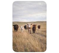 OnlyWow© Tapis Salle De Bain Rectangulaire 60x90 cm Decoration Absorbant Antidérapant Lavable Non Slip Bath Mat Accessoire Baignoire Bovins - Troupeau - Paysage - Prairie - Calme