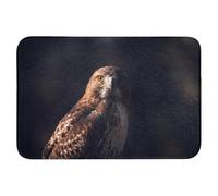 OnlyWow© Tapis Salle De Bain Rectangulaire 90x60 cm Decoration Absorbant Antidérapant Lavable Non Slip Bath Mat Accessoire Baignoire Oiseau Proie - Buse - Brune