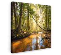 OnlyWow© Toile Extérieur 60x60 cm Original Mur Tableau Decoration Murale Peinture Tableaux Impression Art Mural Deco Décoratif Muraux Forêt - Ruisseau - Lumière du Soleil - Vert