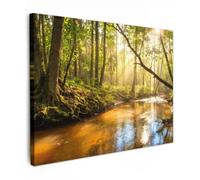 OnlyWow© Toile Extérieur 80x60 cm Original Mur Tableau Decoration Murale Peinture Tableaux Impression Art Mural Deco Décoratif Muraux Forêt - Ruisseau - Lumière du Soleil - Vert