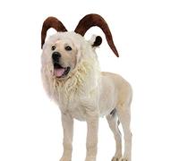 Onmygogo Costume drôle de Reindeer pour Animal Domestique - Perruque en Fourrure pour Halloween et Noël - Accessoire de vêtements pour Animaux domestiques (bouc, Medium)