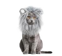 Onmygogo Lion Crinière pour Chats - Perruque en Fourrure pour Halloween et Noël - Accessoire pour vêtements pour Animaux de Compagnie (Small, Gris)