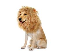 Onmygogo Lion Crinière pour Chiens - Perruque en Fourrure pour Halloween et Noël - Accessoire pour vêtements pour Animaux de Compagnie (Large, Jaune)