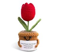 Onperpoe Pocket Hug Tulipe Cadeaux avec carte inspirante, fleurs crochetées et porte-bonheur brodé, meilleure amie, anniversaire, rétablissement, famille, amis