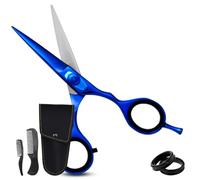 Ontaki Ciseaux Barbe Homme & Peigne Barbe, Acier Japonais, 14 cm, Bleu