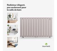 Ontario 100 x 60 Radiateur 1/2" raccordement latéral et central installation murale 681 watts