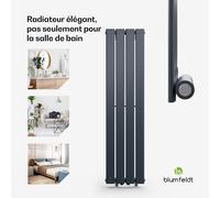 Ontario 30 x 120 Radiateur 1/2" installation murale 733 watts