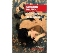 Ontologie de l'accident