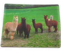 Onwomania Alpagas Vicugna pacos Pako Espèce de chameau 9x7cm 3D carte magnétique aimant frigo image magnétique aimant cahier multicolore