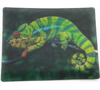 Onwomania Animal caméléon Iguane rampant à écailles 9x7cm Carte magnétique 3D Aimant pour réfrigérateur Aimant pour cahier Vert