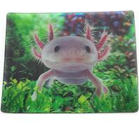 Onwomania Axolotl mexicain à queue 9x7cm carte magnétique 3D aimant frigo image magnétique aimant cahier multicolore