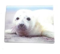 Onwomania bébé phoque 9x7cm carte magnétique 3D aimant frigo image magnétique aimant cahier blanc