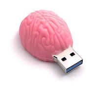 Onwomania Cactus avec Chapeau de Paille Cactus Verdure Clé USB Clé USB 8 Go 16 Go 32 Go 64 Go 128 Go USB 2.0/3.0