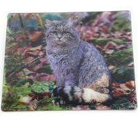 Onwomania chat chaton sauvage 9x7cm carte magnétique 3D aimant frigo image magnétique aimant cahier multicolore