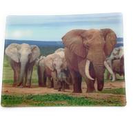 Onwomania Famille d'éléphants Pachyderme 9x7cm Carte magnétique 3D Aimant réfrigérateur Image magnétique Agrafeuse Gris
