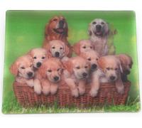 Onwomania Golden Retriever Chiens Famille 9x7cm Carte magnétique 3D Aimant pour réfrigérateur Aimant pour cahier multicolore