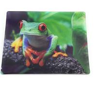Onwomania Grenouille Crapaud Grenouilles 9x7cm Carte magnétique 3D Aimant pour réfrigérateur Image magnétique Aimant pour cahier Vert