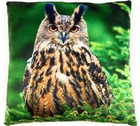Onwomania Hibou Aigle Oiseau en peluche Coussin pour canapé ou lit comme déco, décoration ou coussin douillet 35x35 cm