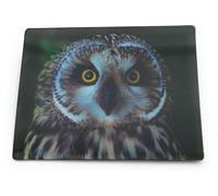 Onwomania Hibou des marais Oiseau 9x7cm Carte magnétique 3D Aimant pour réfrigérateur Tableau magnétique Aimant pour cahier multicolore