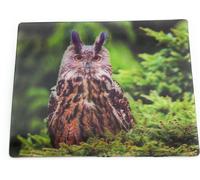 Onwomania Hibou hibou oiseau 9x7cm carte magnétique 3D aimant frigo image magnétique aimant cahier marron