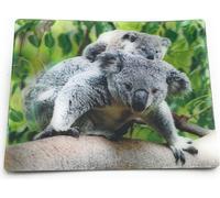Onwomania Koala oursons Koala 9x7cm carte magnétique 3D aimant frigo image magnétique aimant cahier gris