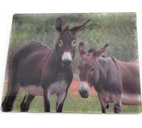 Onwomania L'âne de la maison mignon 9x7cm Carte magnétique 3D Aimant pour réfrigérateur Image magnétique Aimant pour cahier Gris