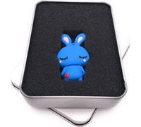Onwomania Lapin mignon en bleu Clé USB 64 Go USB 2.0 dans un coffret cadeau en aluminium