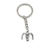 Onwomania Lot de 2 porte-clés en forme de fer à cheval - En métal - Avec boîte cadeau en aluminium - Idéal pour offrir, argenté, taille unique