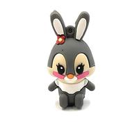 Onwomania Mignon Lapin de Pâques Gris Lapin de Pâques Clé USB Amusante 16 Go USB 2.0 Support de données USB