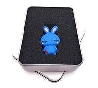 Onwomania Mignon Lapin Mignon en Bleu Clé USB dans Une boîte Cadeau 8 Go USB 3.0