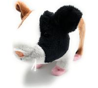 Onwomania peluche tissu animal cochon d'Inde Caviidae animal domestique 20cm multicolore